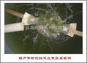 磁力傳動(dòng)攪拌機(jī)水試效果實(shí)拍